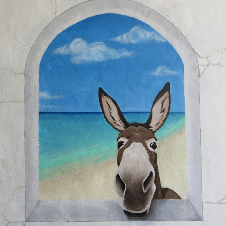 Aruba donkey
